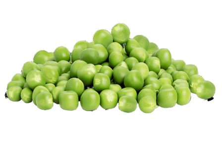 Bizele Kokerr (100 Gram)